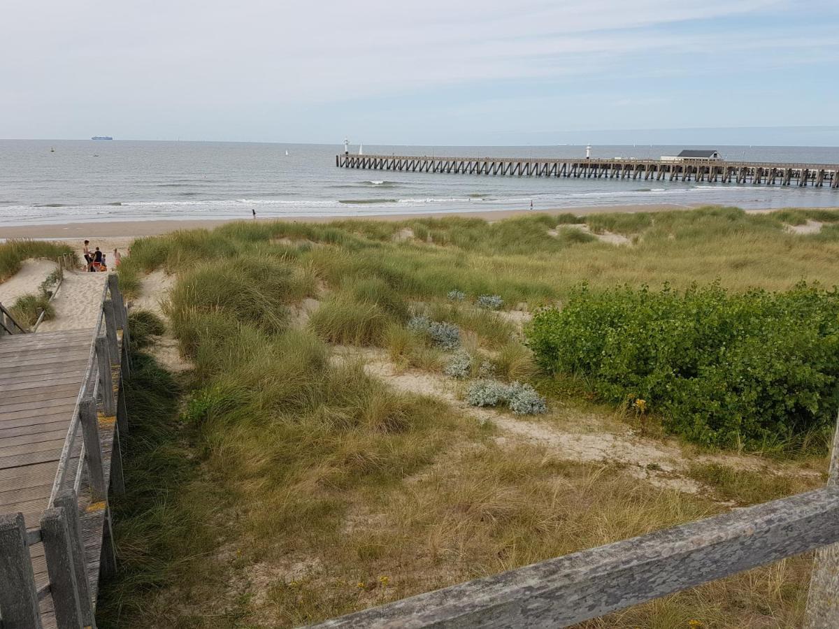 Seacottage Blankenberge - Wenduine Де-Ган Екстер'єр фото